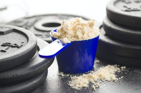 Tout ce que vous devez savoir sur le Whey : Guide pratique