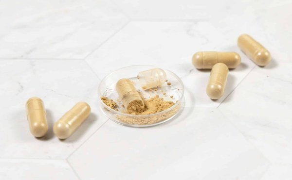 Quels sont les complémentaires alimentaires indispensables à la musculation ?